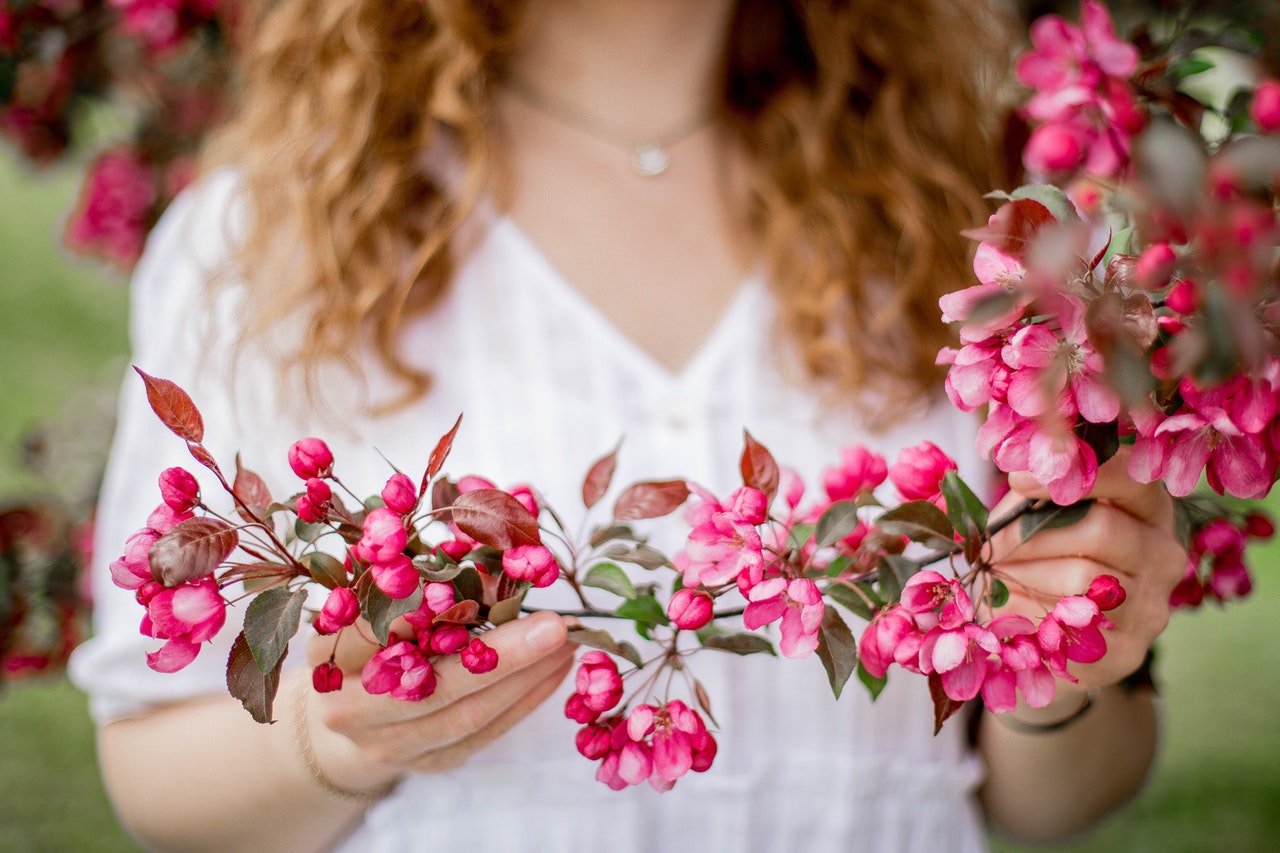 Fuksja doniczkowa – porady pielęgnacyjne