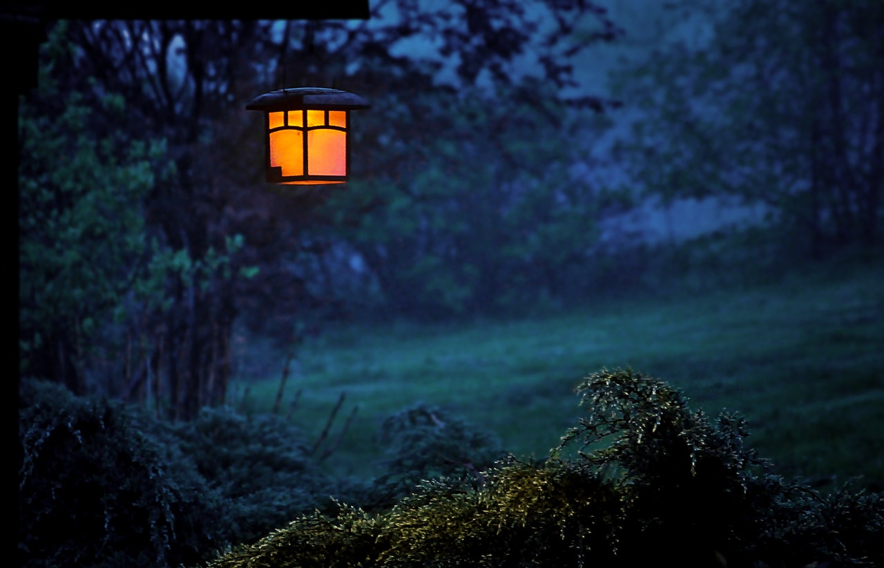 Lampa owadobójcza – odpowiadamy na 8 najczęstszych pytań o lampy na owady