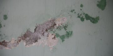 Pleśń na ścianie - jak się jej pozbyć?